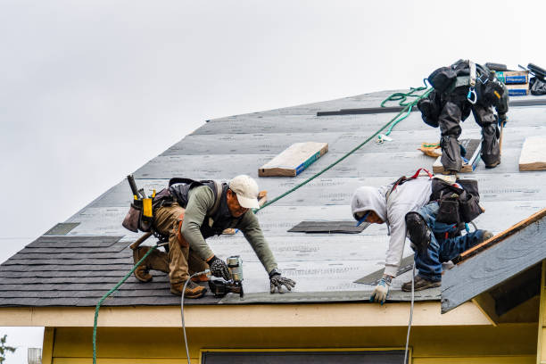 Professional Gutter Installation technician working in Pell Lake, WI